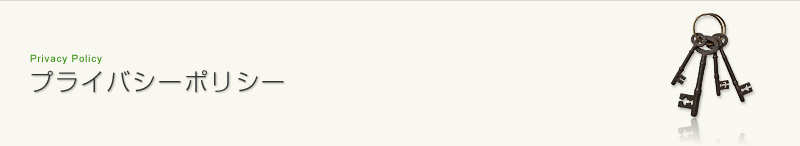 Privacy Policy@vCoV[|V[